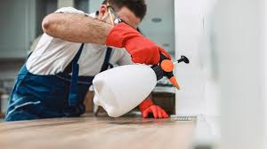 Best Pest Prevention Services  in , DE